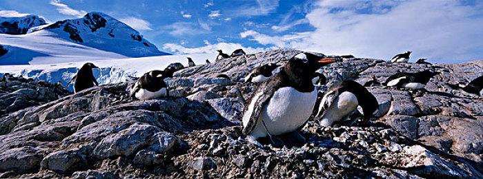 《严阵以待》今夏登陆PS5＆Xbox 第一人称战术FPS