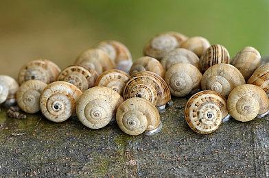 国产精品单机《心渊梦境》今日登陆Nintendo e商店，限时七折优惠