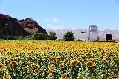 N64游戏《F-Zero X》加入NSO扩展包 3月11日上线