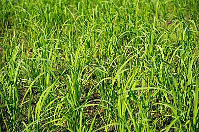 《爆钻小英雄》11月4日登陆主机 Steam获特别好评