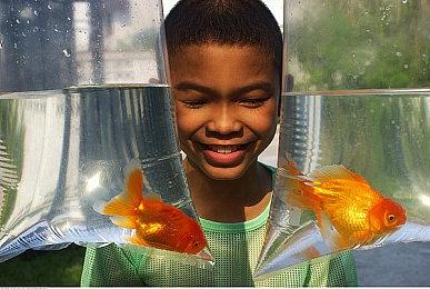 展开『蕾斯莱莉娅娜』的新冒险，《炼金工房》新作将于PS5＆PS4＆NS＆Steam上登场